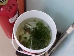 -宠福鑫动物医院(城北分院)