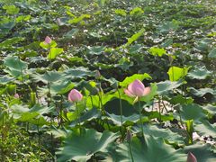 -大连步云山老汤度假山庄