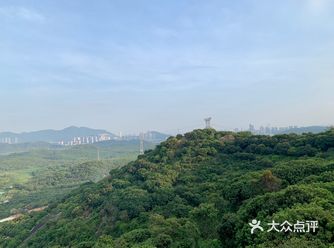 去年朋友带我去一家农家乐摘龙眼吃大鹅，后来加了老板的