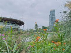 -桂溪生态公园