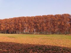 iphone_upload_pic-河南省黄河迎宾馆