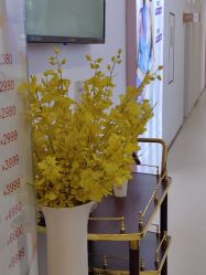 -贵阳美莱医疗美容整形医院