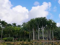 -中国科学院西双版纳热带植物园