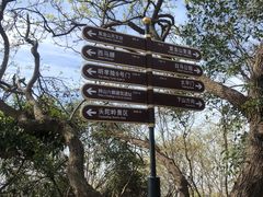 -紫金山山顶公园