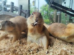 -珠海海泉湾神秘岛亲子乐园