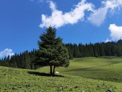 -新疆那拉提国家旅游度假区