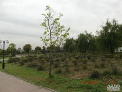 CIMG1724-苏州太湖西山岛开心农场