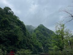 -青城山