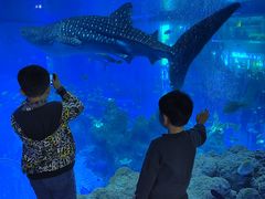 -成都浩海立方海洋公园