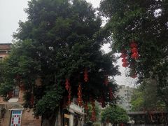 -荔湾湖公园