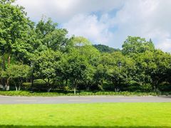 -杭州花家山庄