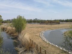 -北京麋鹿生态实验中心
