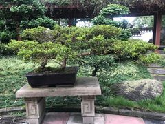 -南山植物园