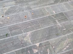 -武汉知音号
