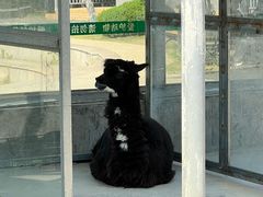 -水绘园
