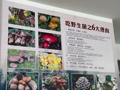 -江川野生菌火锅铜锅鱼(贵清火锅店)