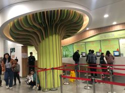 -上海交通大学医学院附属上海儿童医学中心(陆家嘴总院区)