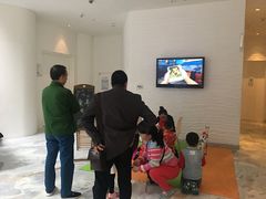 -深圳东部华侨城瀑布酒店