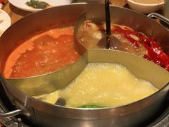 -青瓷火锅料理(西单大悦城店)