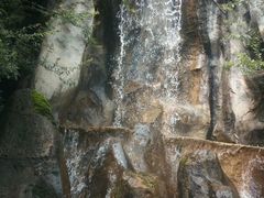 -昆明动物园