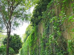 -中国湿地博物馆