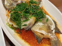 清蒸太阳鱼-大唐靓汤江门私房菜(景田店)
