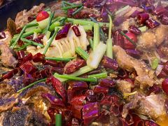 老板恋上鱼-老板恋上鱼(恒隆广场店)