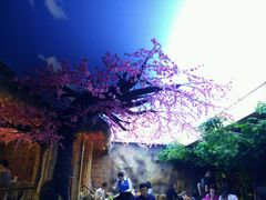 -常州环球恐龙城维景国际大酒店