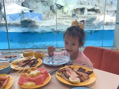 -帝企鹅自助餐厅•儿童岛•真企鹅(长隆企鹅酒店)