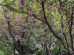 -苏州河梦清园环保主题公园