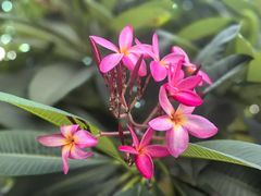 -汕头龙光喜来登酒店