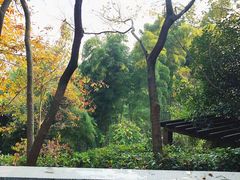 景点-天目湖涵田半山温泉