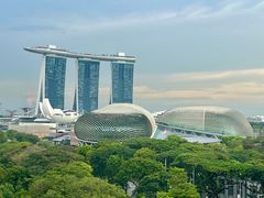 -新加坡瑞士史丹福酒店