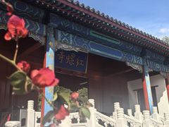-红螺寺