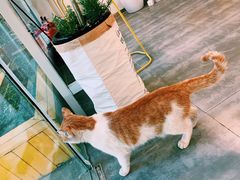 -五进制 Coffee Shop