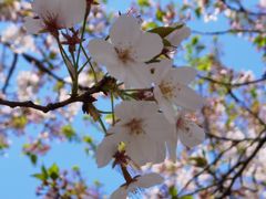-龙美术馆(西岸馆)