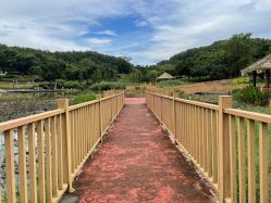 -番禺儿童公园