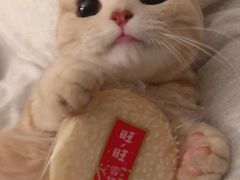 -东坡羽毛球馆(东坡南一路店)