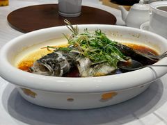 清蒸老虎斑-富盛囍宴大酒楼(新都汇购物广场店)