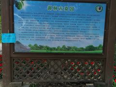 -御林古桑园