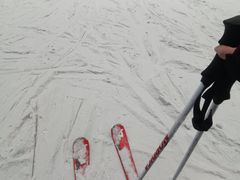 -哈尔滨热雪奇迹