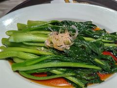 -南堂馆·新川菜(春熙路店)