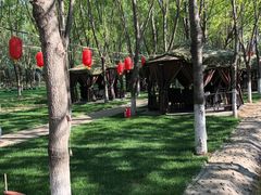 -草根堂农场