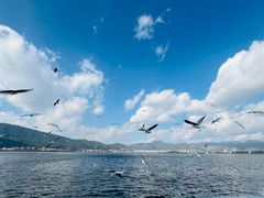 -海埂大坝
