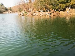 -白马涧龙池景区