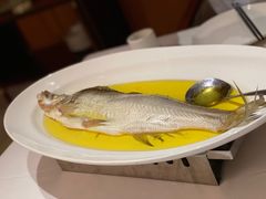 鸡汁长江白鱼-A One Kitchen·南京精菜馆(德基广场店)