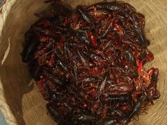 -丹虾|文和友小龙虾·烙锅(陕西路旗舰店)