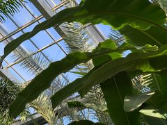 -北京植物园-展览温室