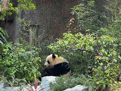 -灵玲国际马戏城
