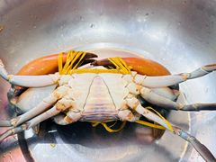 -七欣天香辣蟹火锅(苏州相城VIP总店)